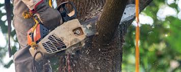 Best Tree Mulching  in Keansburg, NJ