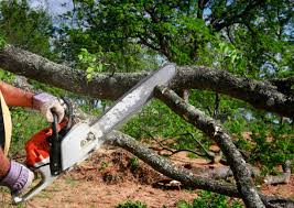 Best Soil Testing and Treatment  in Keansburg, NJ