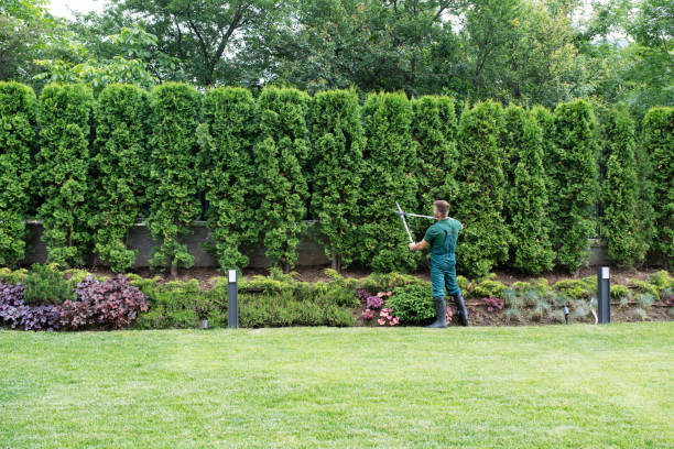 Best Leaf Removal  in Keansburg, NJ