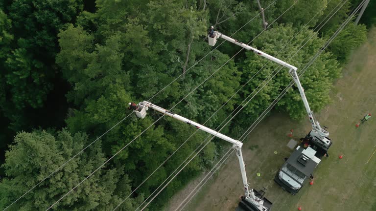 Best Storm Damage Tree Cleanup  in Keansburg, NJ